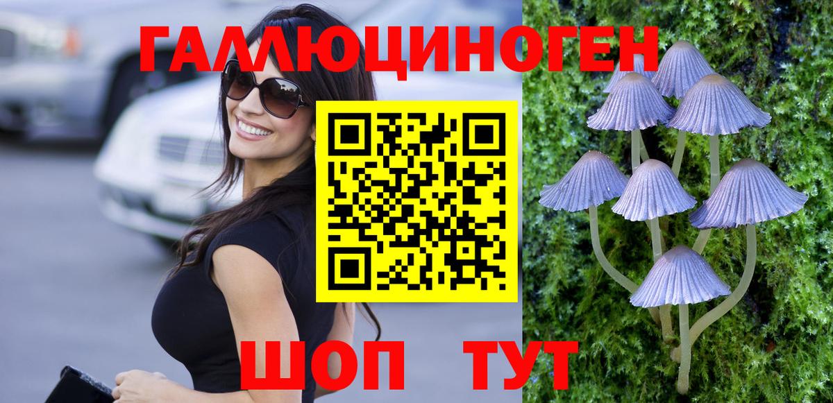 Калининград  Псилоцибиновые грибы мицелий  Вход с VPN 